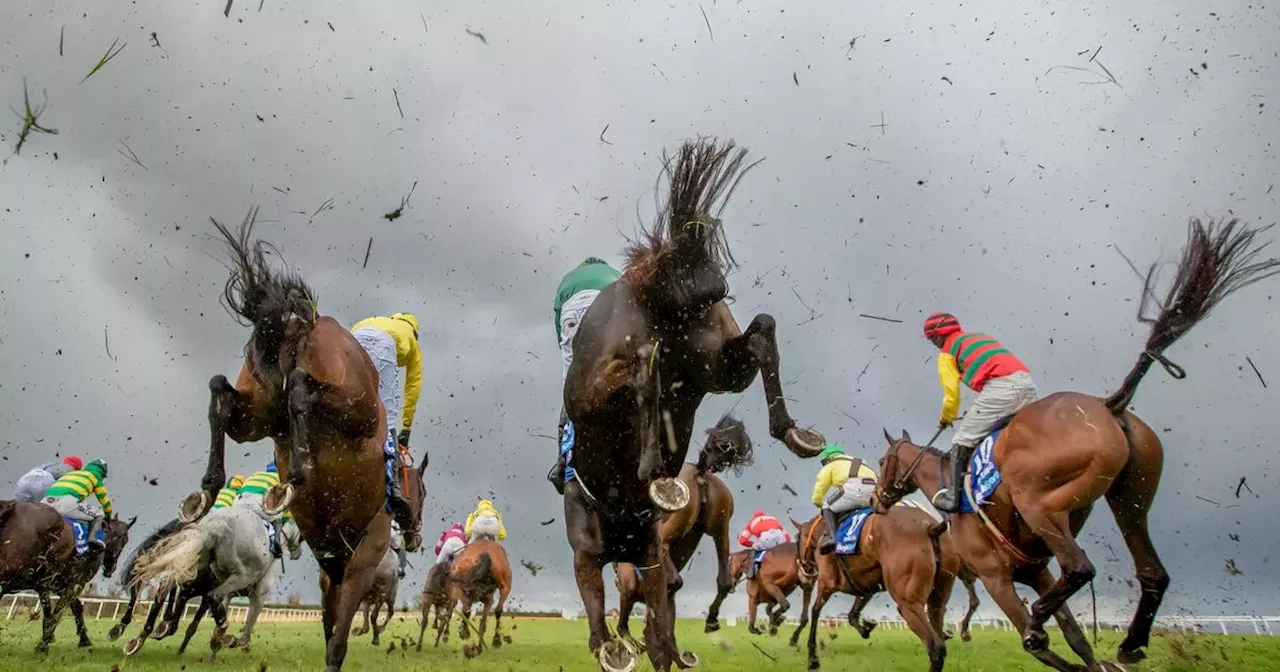 Irish Grand National full race card and tips - list of runners on Easter Monday