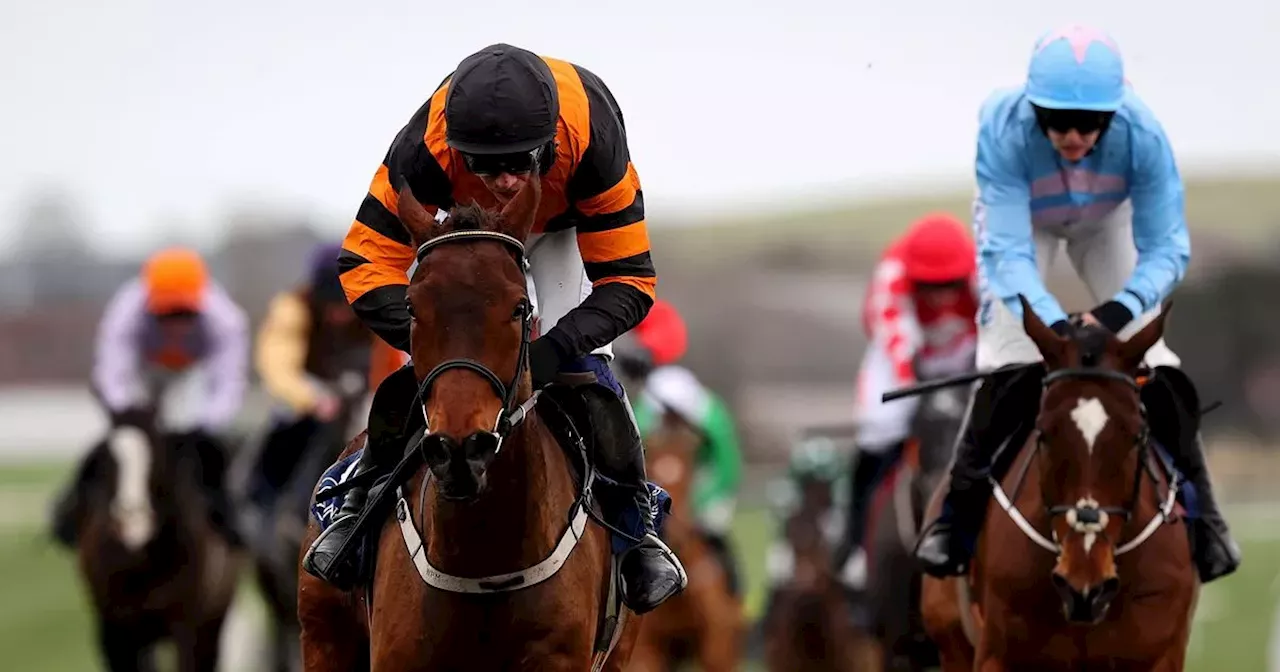 Irish Grand National tips: Selections for all eight races at Fairyhouse