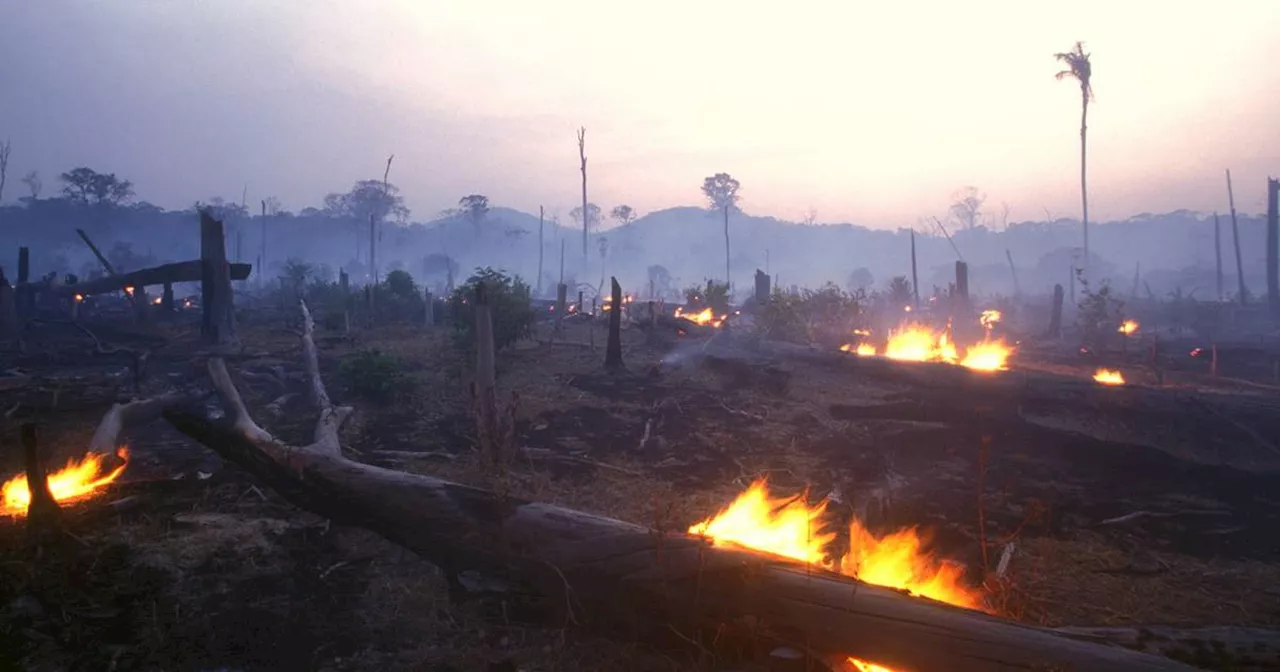 The Irish Times view on the Anthropocene age: humans make their mark