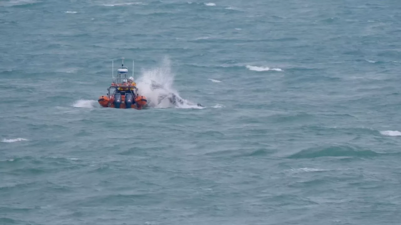 'Distressing' Easter rescue as entangled humpback whale freed from fishing ropes in Cornwall