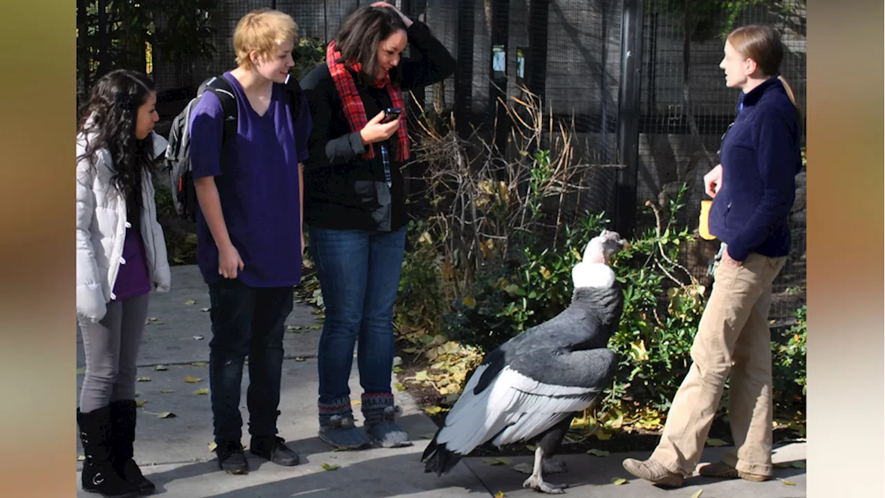 Memorial sculpture in the making to honor beloved Salt Lake bird resident