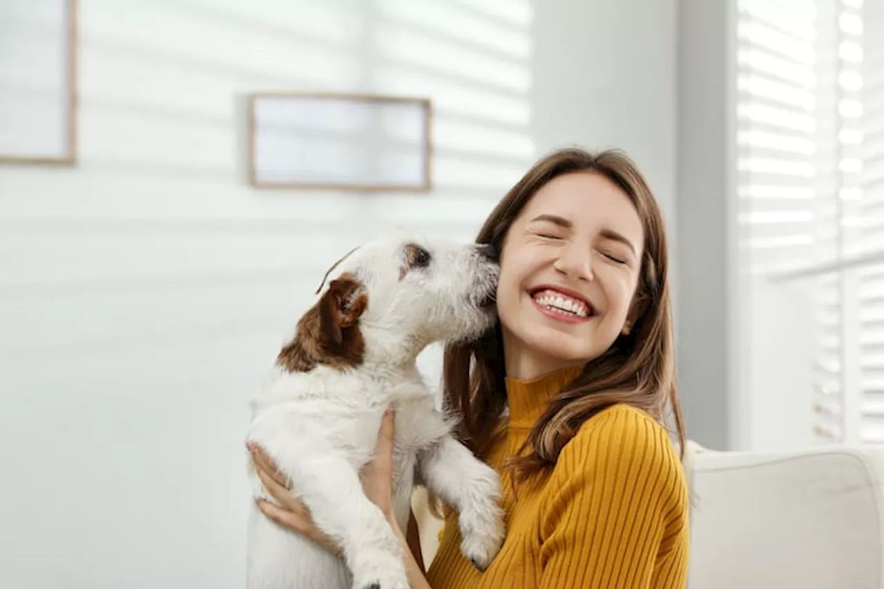 Un estudio científico develó los beneficios de tener un perro