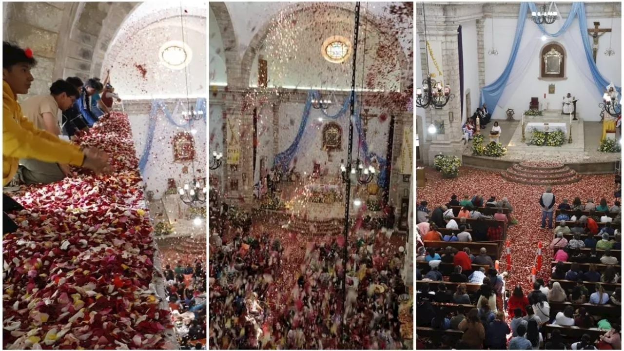 Así se vivió la lluvia de pétalos en Mineral del Chico; van 150 años de tradición