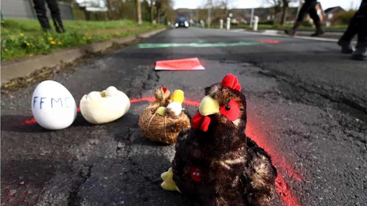 Quand d’autres chassent les œufs, les motards traquent les nids-de-poule