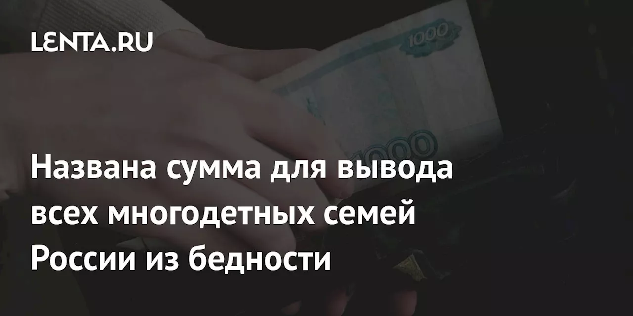 Названа сумма для вывода всех многодетных семей России из бедности