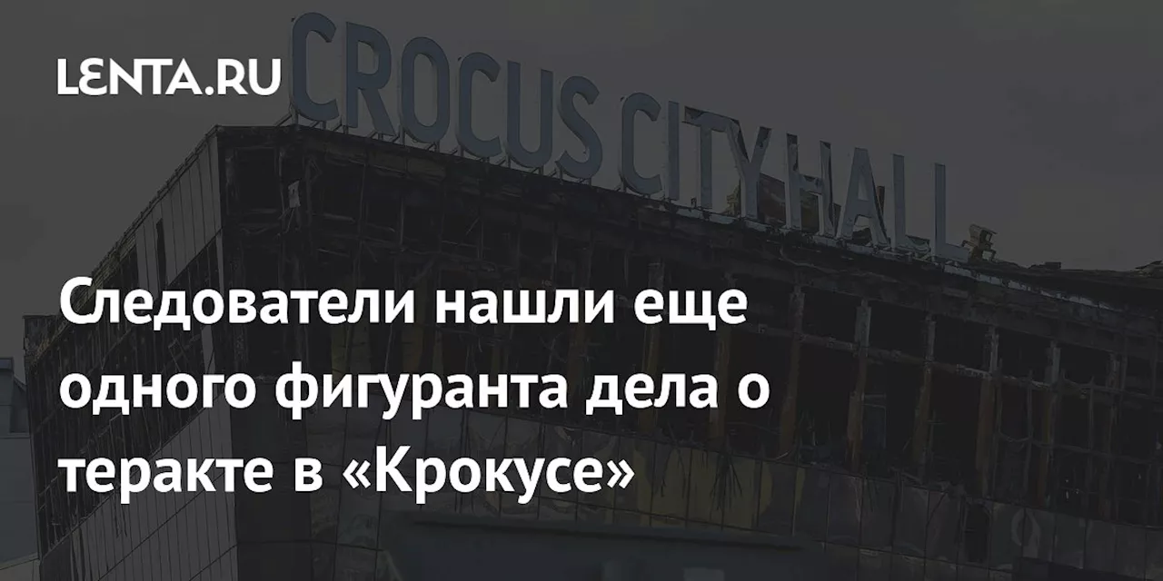 Следователи нашли еще одного фигуранта дела о теракте в «Крокусе»