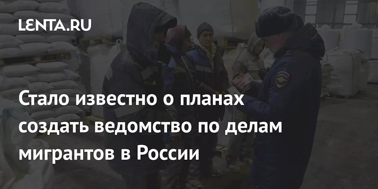 Стало известно о планах создать ведомство по делам мигрантов в России