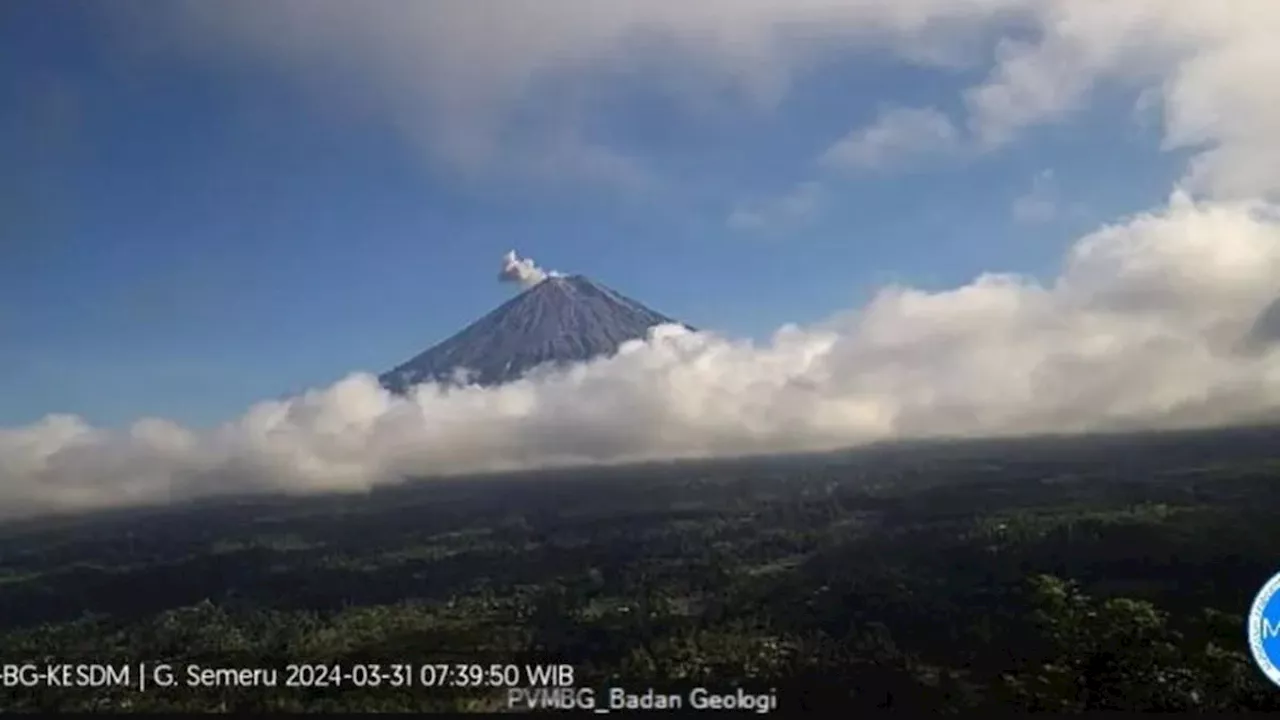 Gunung Semeru Erupsi Lagi, Lontaran Abu Vulkanik Capai 600 Meter