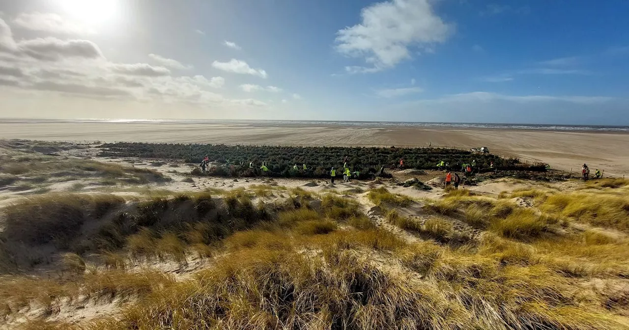 The fight is on to save Fylde Coast sand dunes