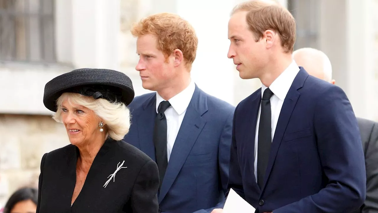 Prince Harry Reportedly Sees Prince William’s Newfound Closeness with Queen Camilla “As A Betrayal”