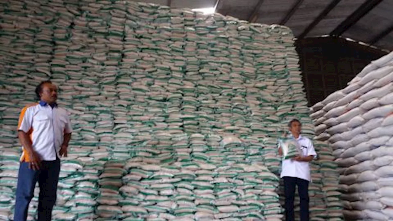 Masuk Panen Padi, Bulog Cianjur Siap Serap dari Petani