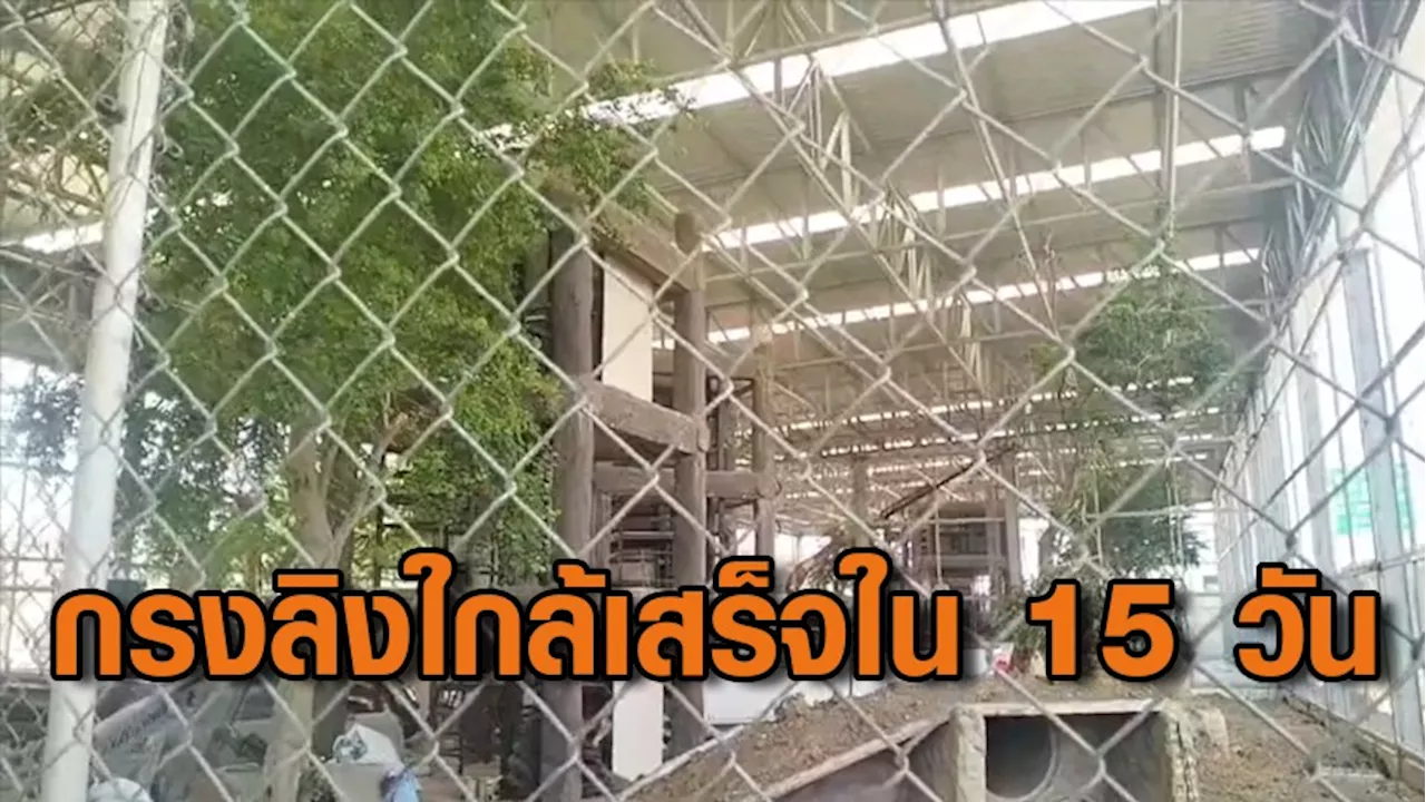 อุทยานฯ ลุยตรวจ กรงลิงลพบุรี คาดแล้วเสร็จใน 15 วัน เตรียมจับลิงเกเรมาทำหมัน รับชุดแรกได้กว่า 1 พันตัว