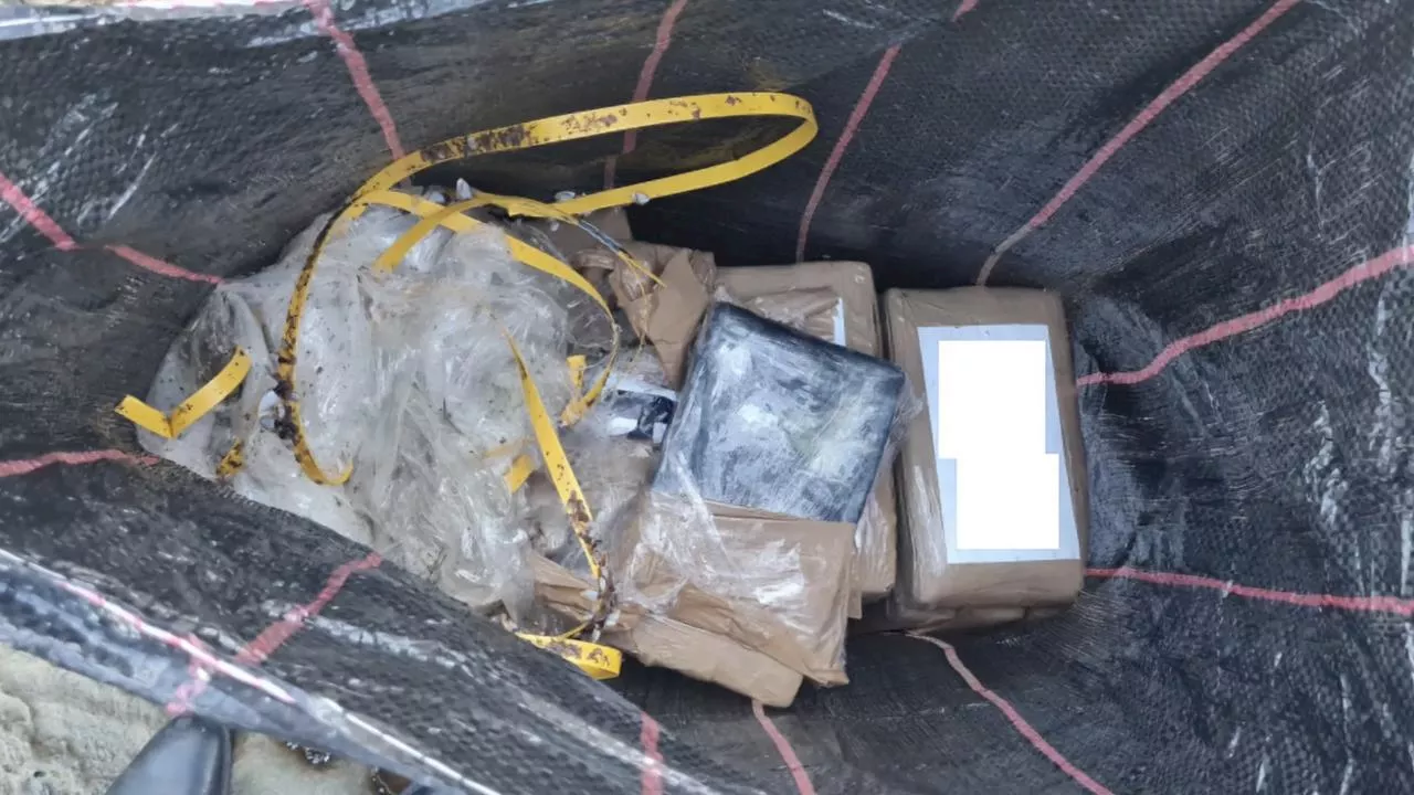 $900k cocaine bricks wash up in Sydney