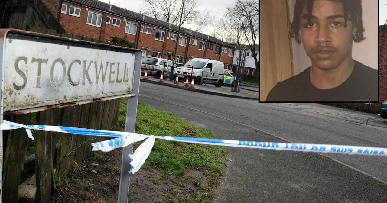 The 'cold-blooded killing' of teen lured to park where he was stabbed to death