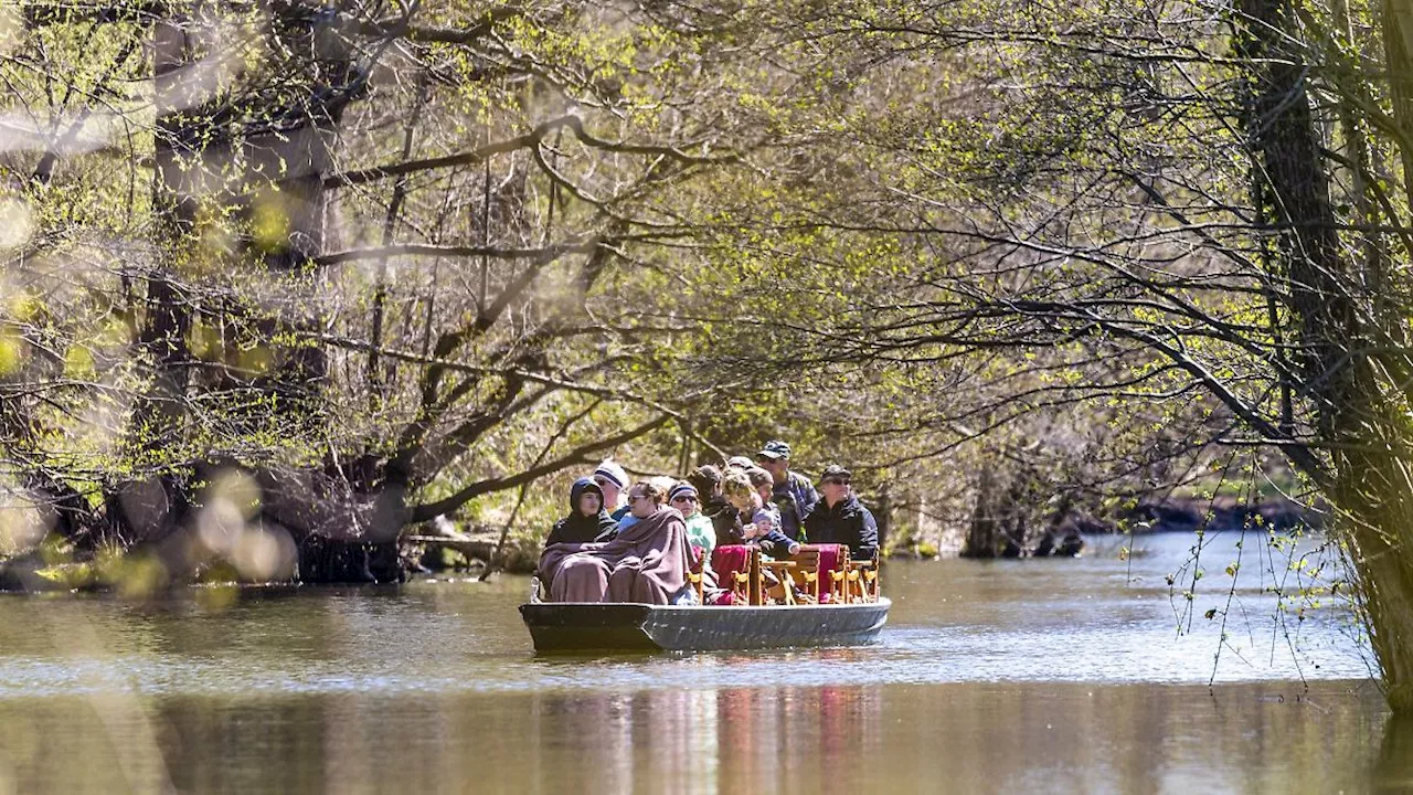 Berlin & Brandenburg: Kahnfahrt, Schippern - Schönes Wetter lockt Oster-Besucher