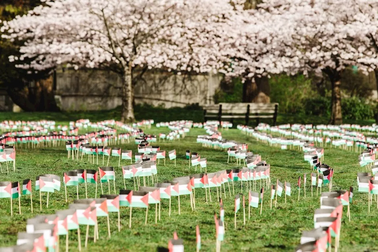 'The scale of the tragedy': 40,000 flags erected in Vancouver park to represent civilian deaths in Gaza