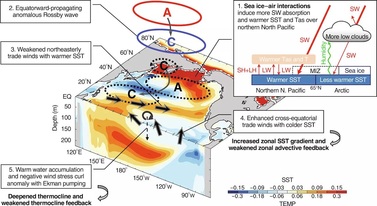 Atmospheric scientists link Arctic sea loss ice to strong El Niño events