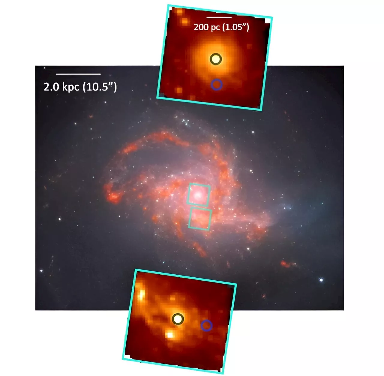 JWST observations explore molecular outflows of a nearby merging galaxy