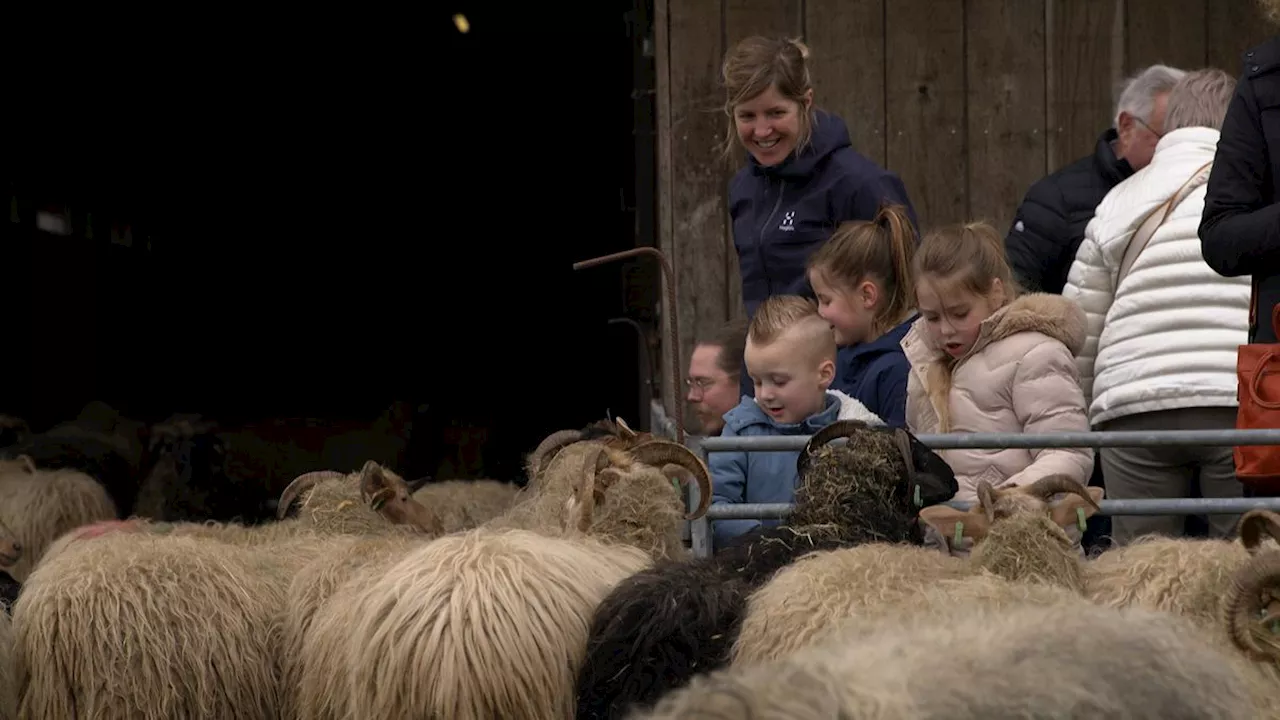 Eieren zoeken en lammetjes aaien, dit is Tweede Paasdag in Drenthe