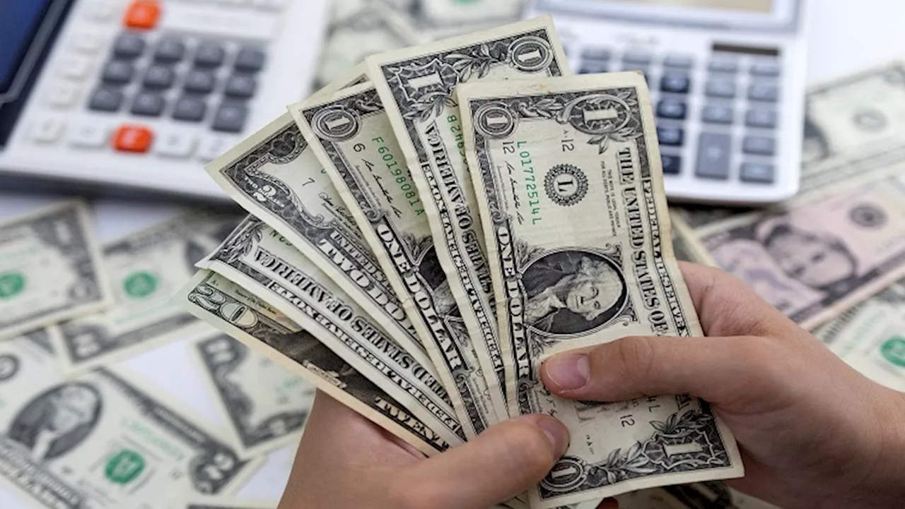 Dollar steady as inflation data boosts June rate cut bets - SABC News - Breaking news, special reports,