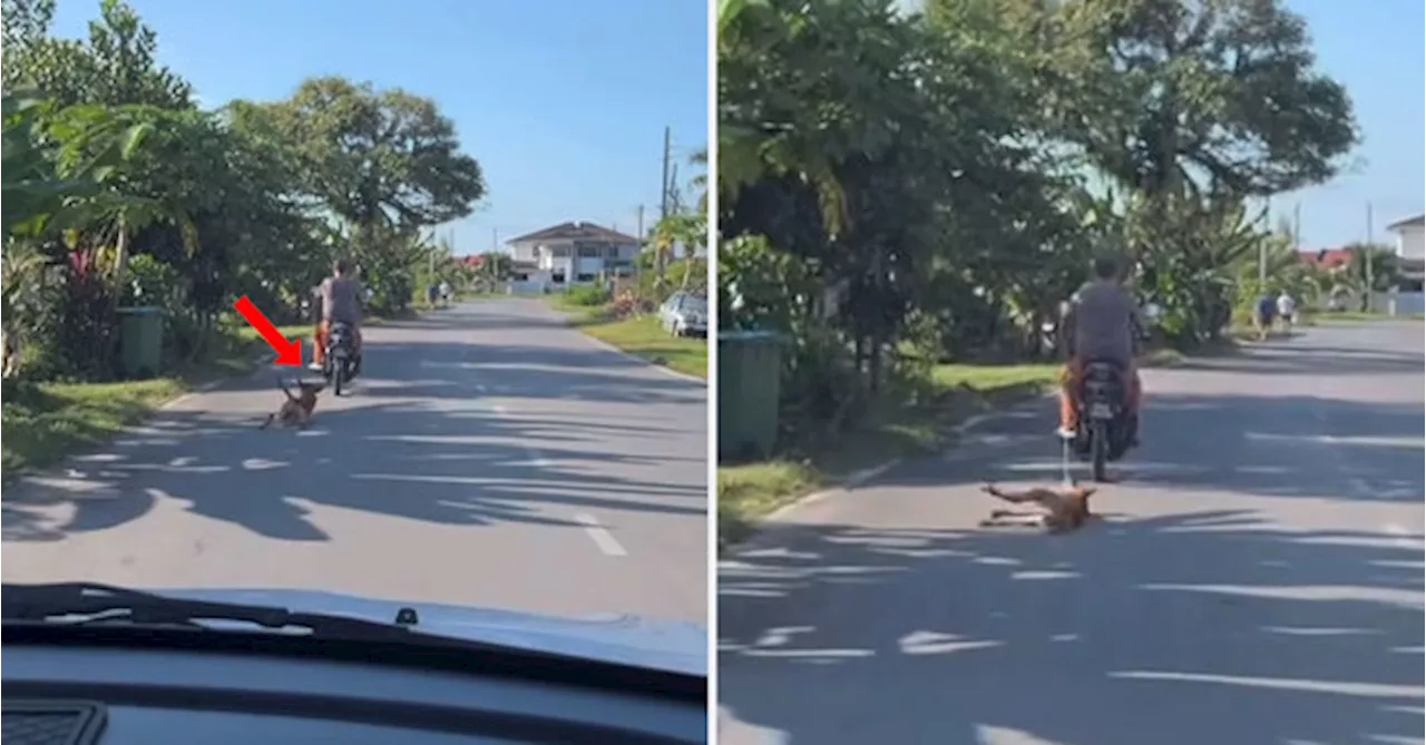 Video Of Motorcyclist Abusing A Dog By Dragging It On The Road With A Rope Goes Viral