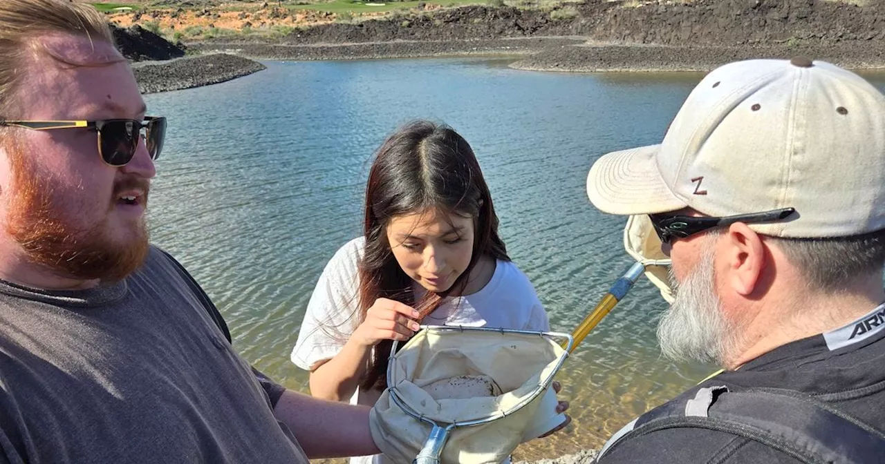 Endangered fish find new home, safe harbor at $2 billion Southern Utah mega-resort