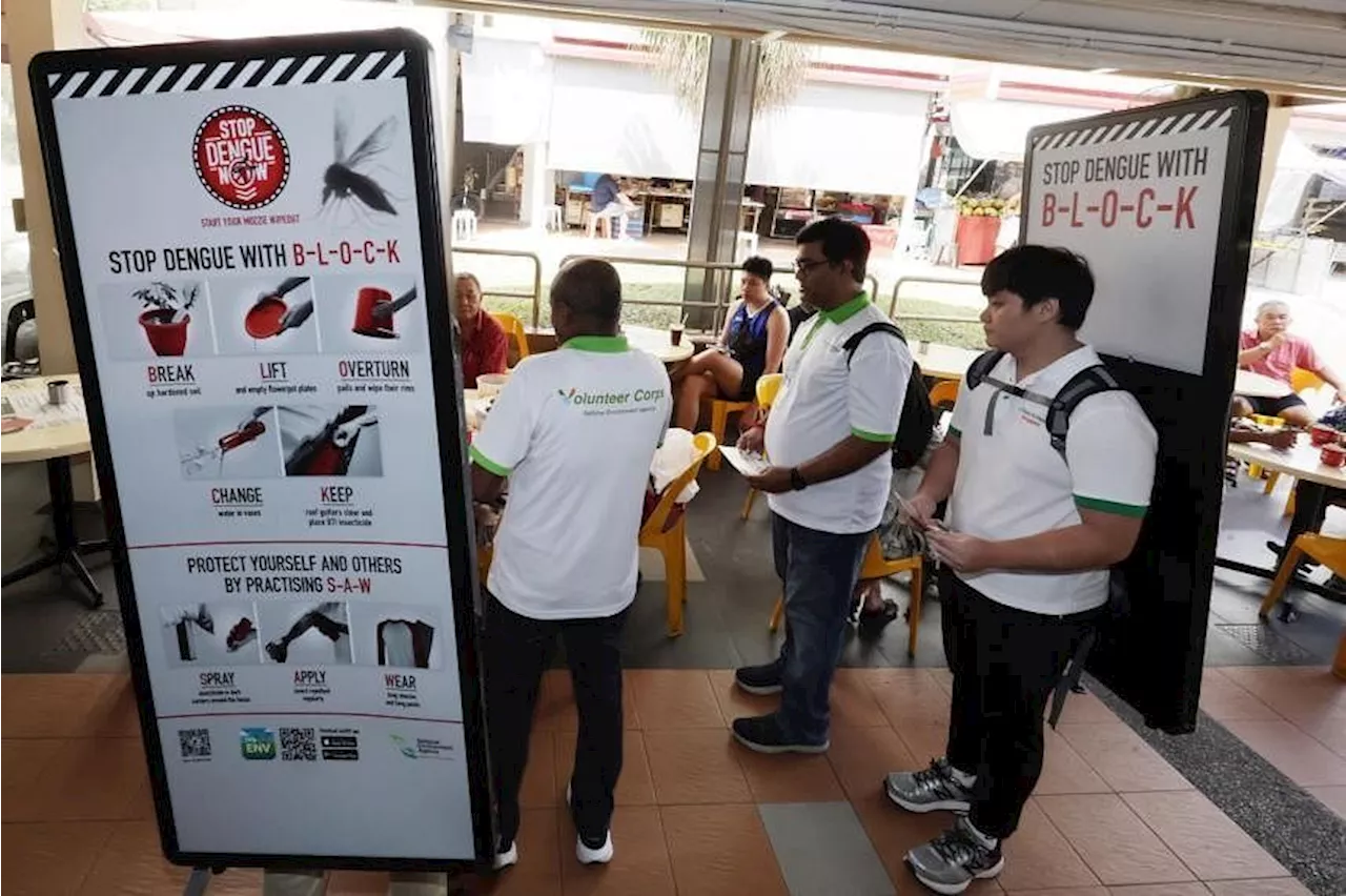  Over 5,000 dengue cases and seven deaths in first quarter of 2024 in Singapore