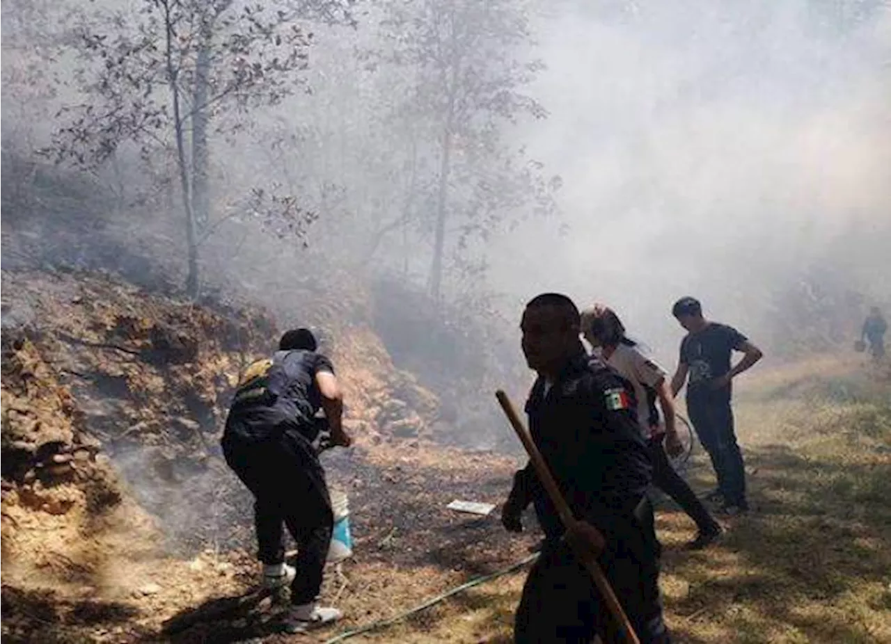 AMLO ahora descarta que incendios sean culpa de desarrolladores, ‘son por sequía’