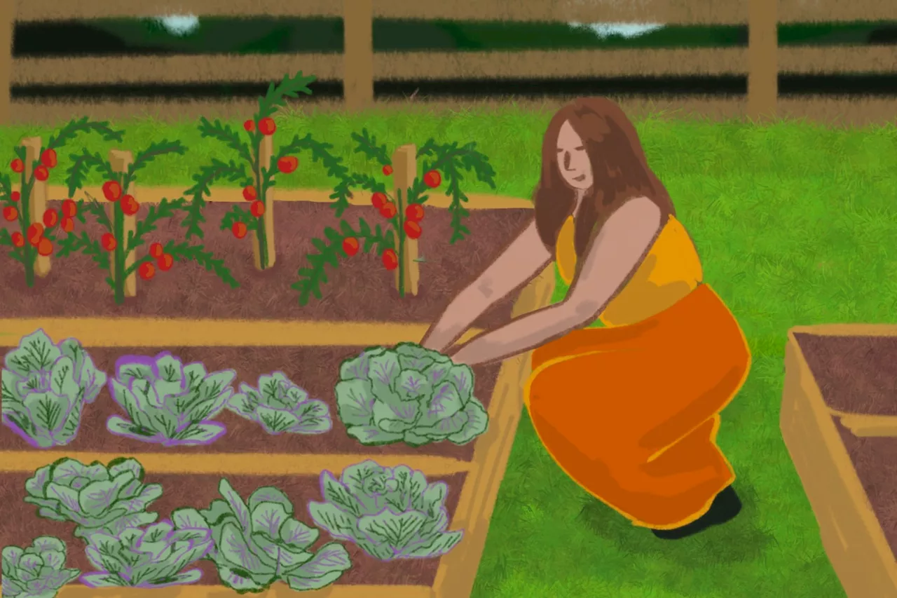 A beginner’s guide to vegetable gardening