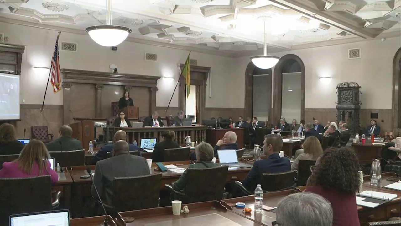 Monroe County legislators vote against funding study on replacing RG&E with public utility