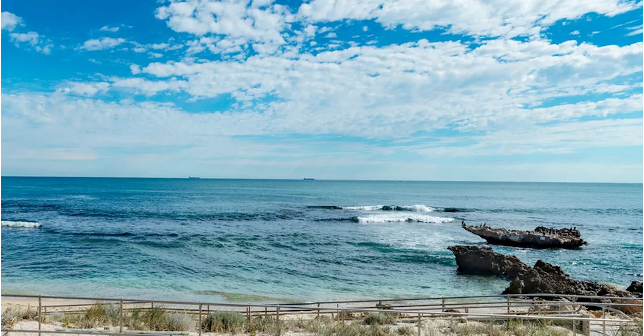 Police shoot staffy dead after it attacked two dachshunds on Perth beach