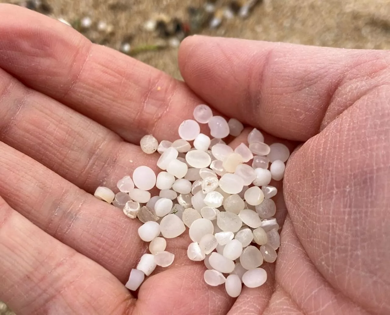 Pollution : arrivée 'massive' de granulés plastiques industriels sur cette plage de Loire-Atlantique