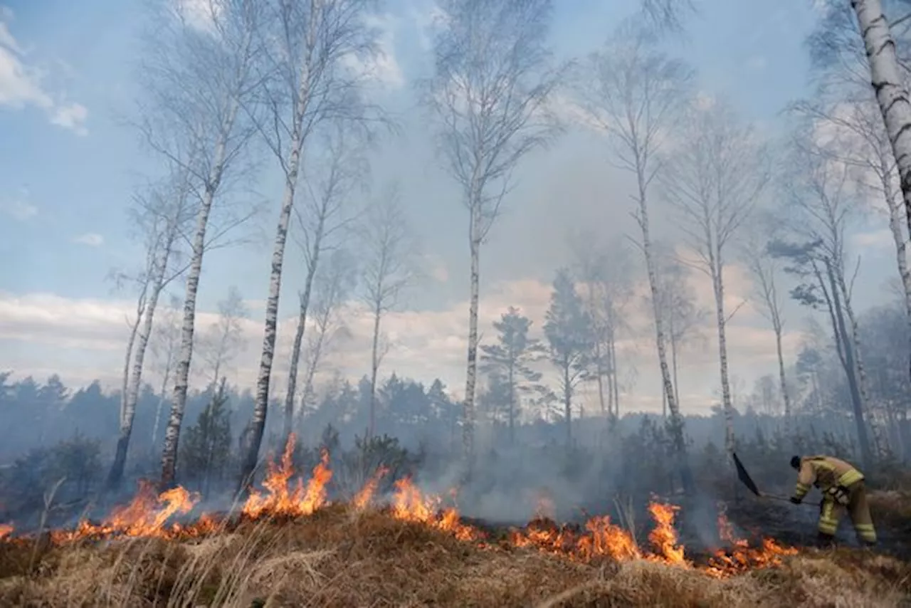 SMHI: Risk för gräsbränder