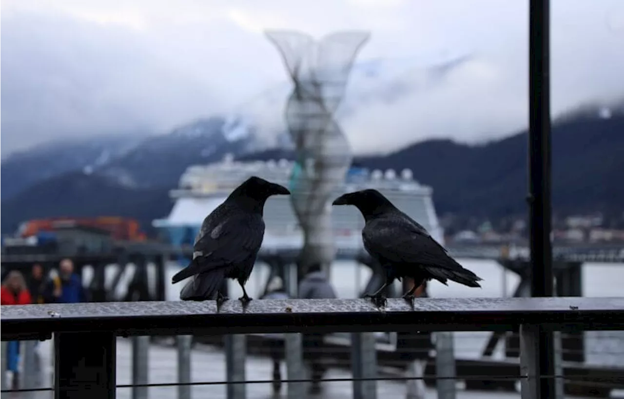 Cruise ship season begins in Juneau