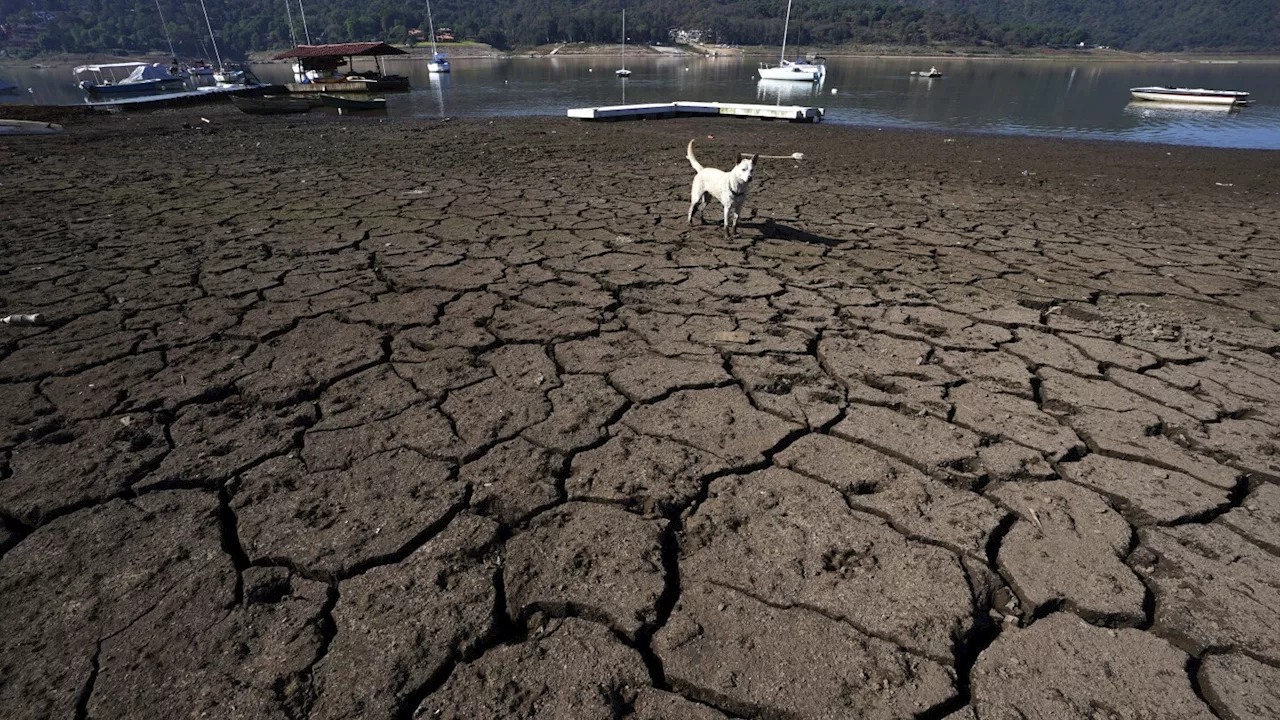 Water Authorities in Central Mexico Stop Taking Water from Drought-Stricken Reservoir