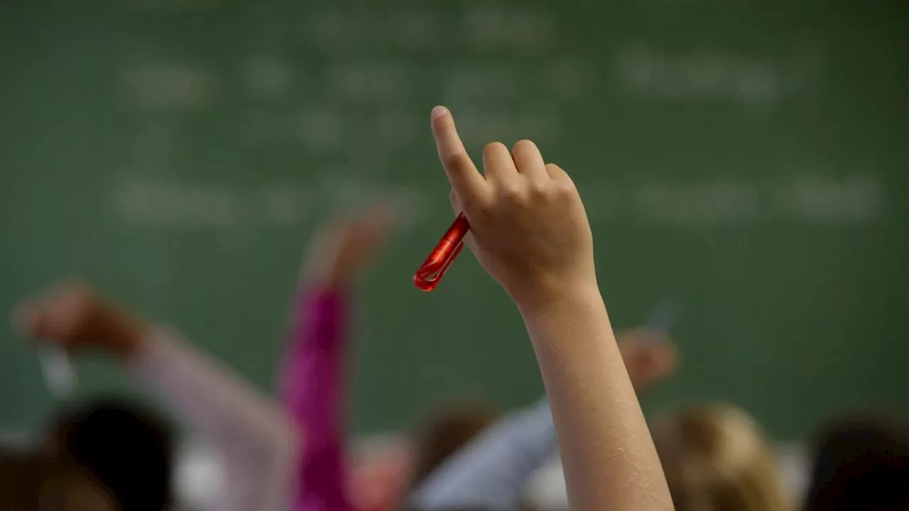 So viele deutsche Schulen gibt es auf Mallorca