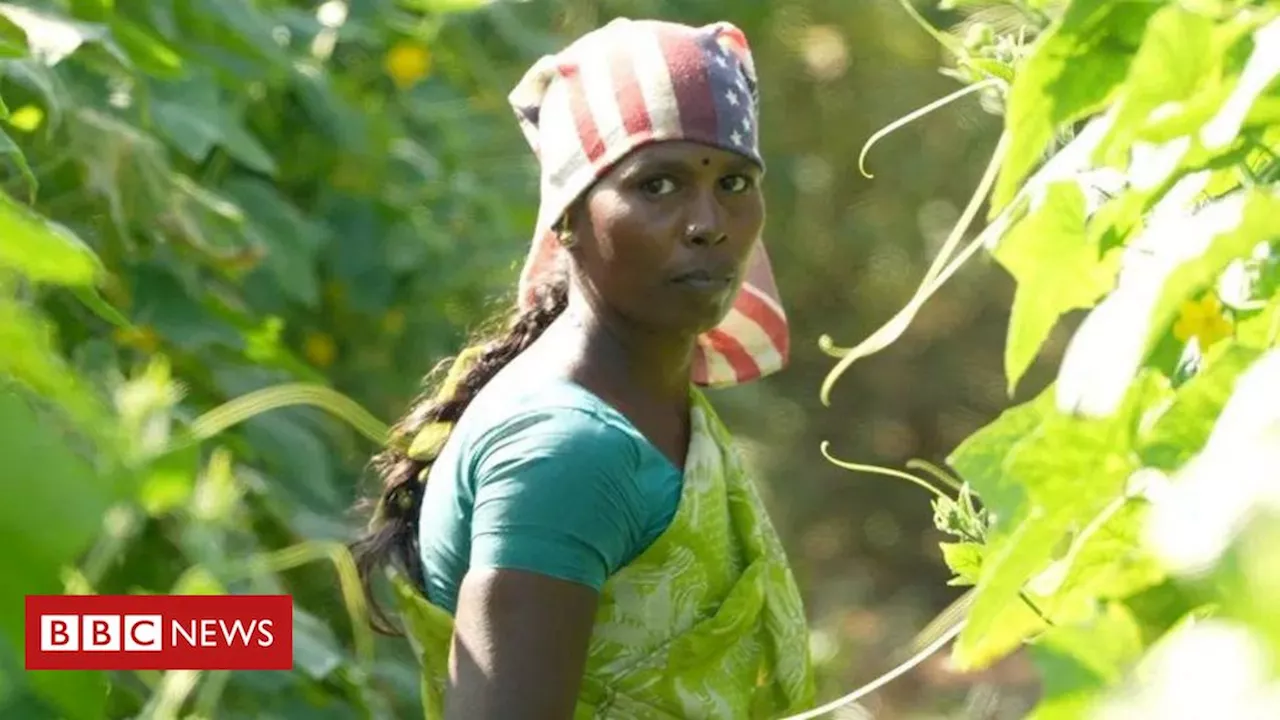 Estudo revela impacto do calor no trabalho na saúde das mulheres em Tamil Nadu