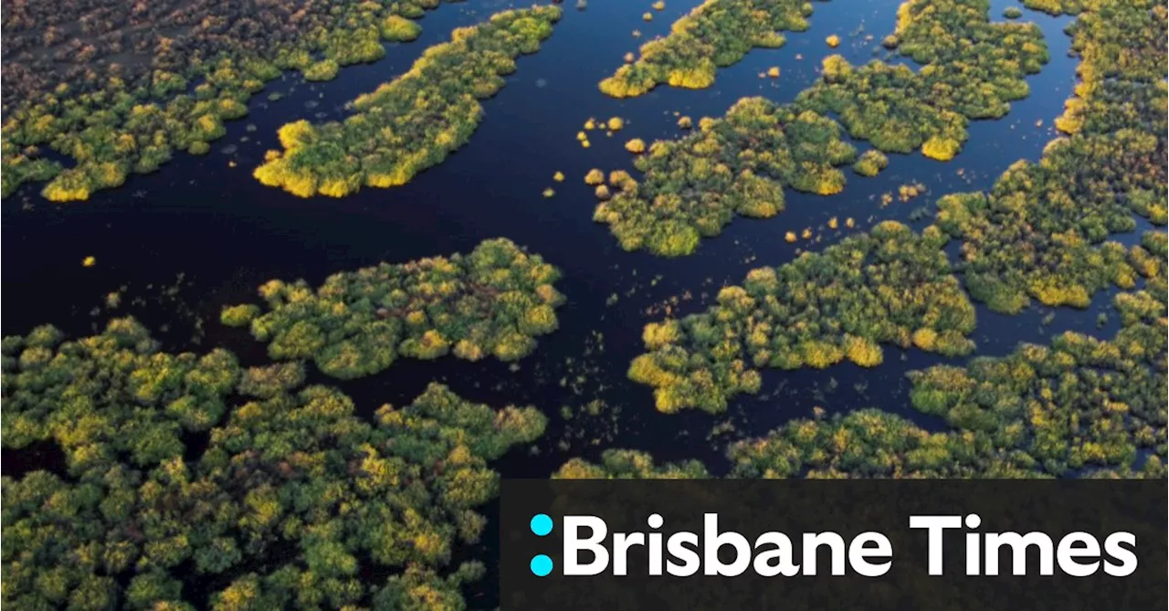 Plibersek swamps Victoria on Murray Darling water buybacks