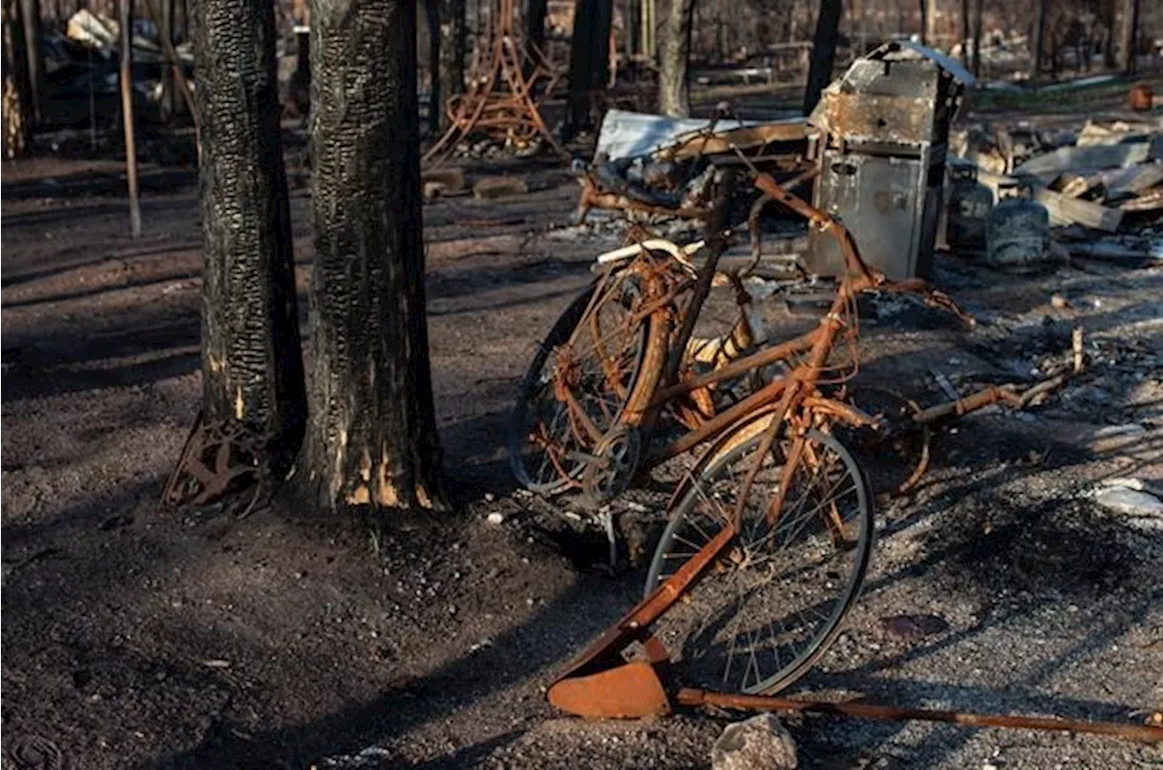 Canada Warns of Escalating Wildfire Risk Due to Climate Change