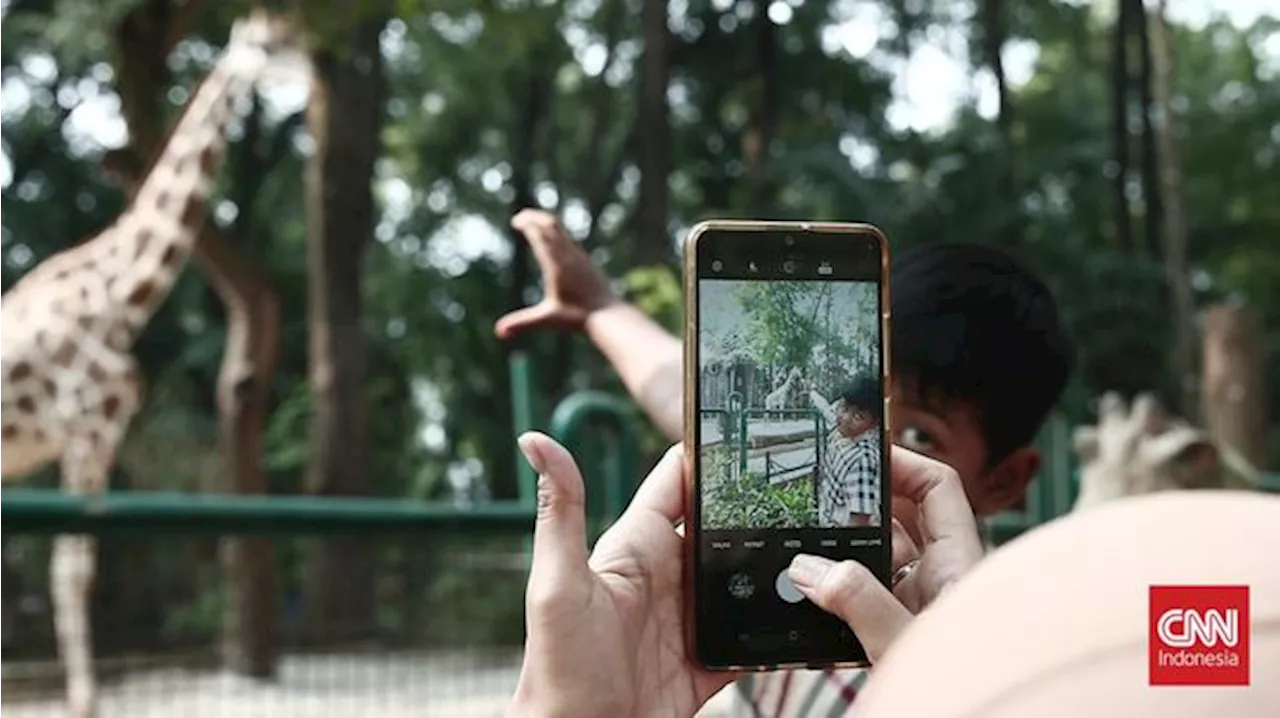 Jadwal Buka Ragunan dan Ancol Saat Libur Lebaran