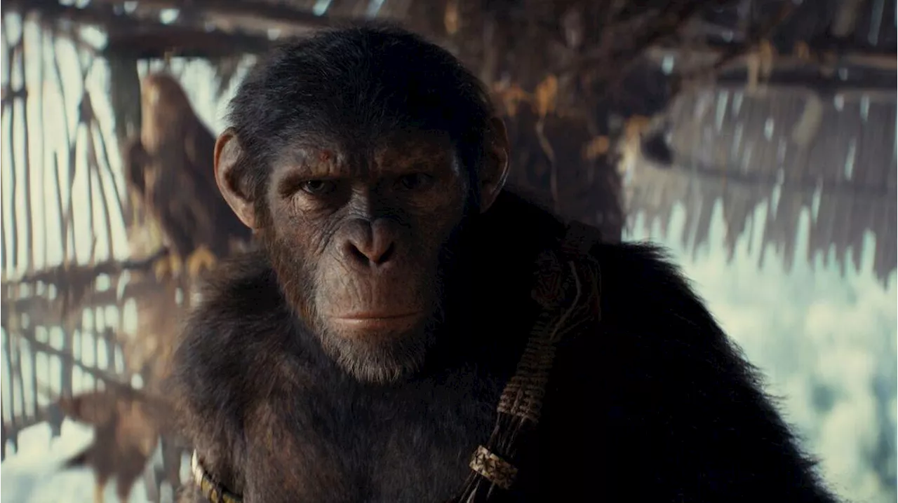 Kingdom Of The Planet Of The Apes Rating Confirmed