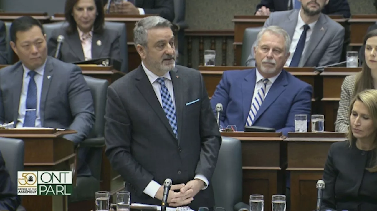 Ford gov't to back NDP bill declaring intimate partner violence an epidemic in Ontario: Calandra