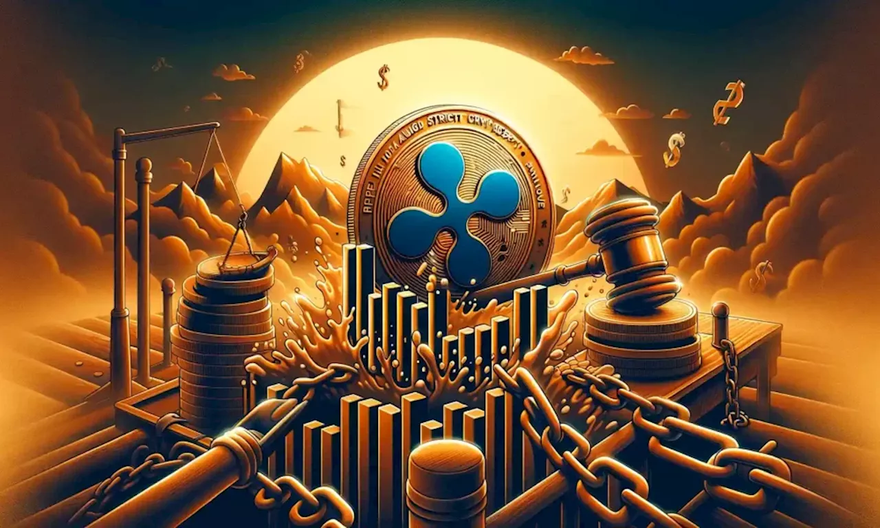 Here’s Ripple CEO’s advice on whether you should buy Bitcoin or XRP