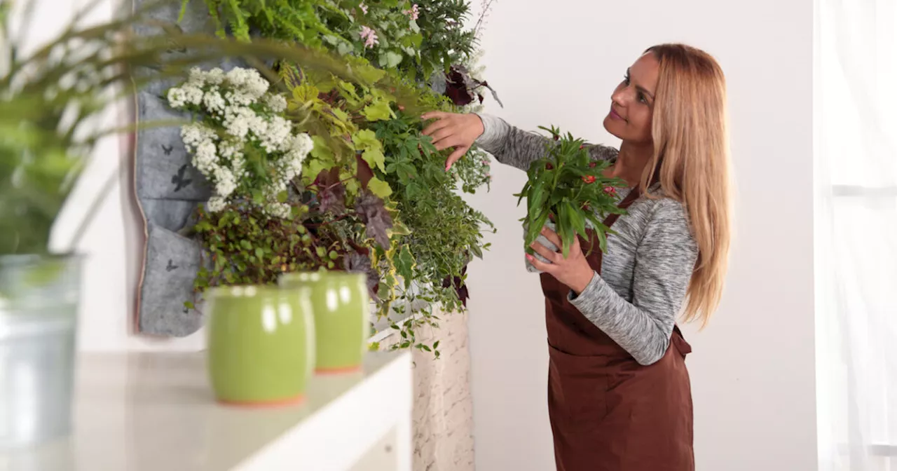 Come realizzare un giardino verticale fai da te