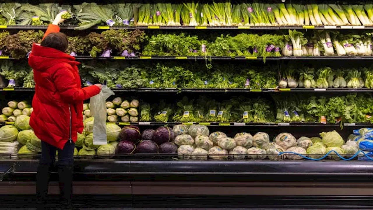 More produce, less dairy for low-income families under US nutrition program changes