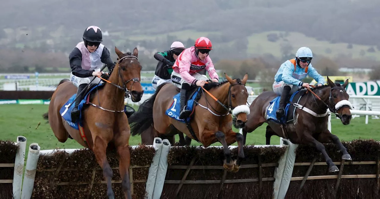 Grand National 2024 Day One: Bob Olinger can win the Aintree Hurdle