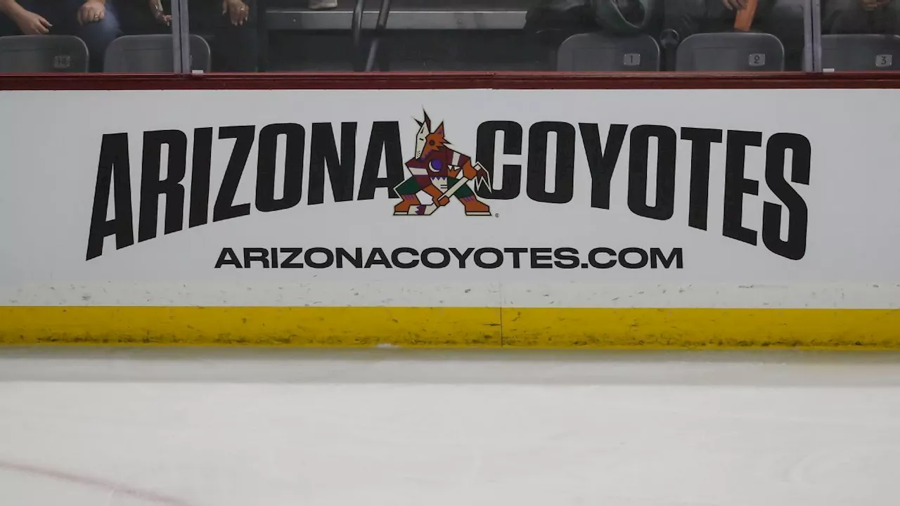 Coyotes could relocate to Salt Lake City as part of NHL plan