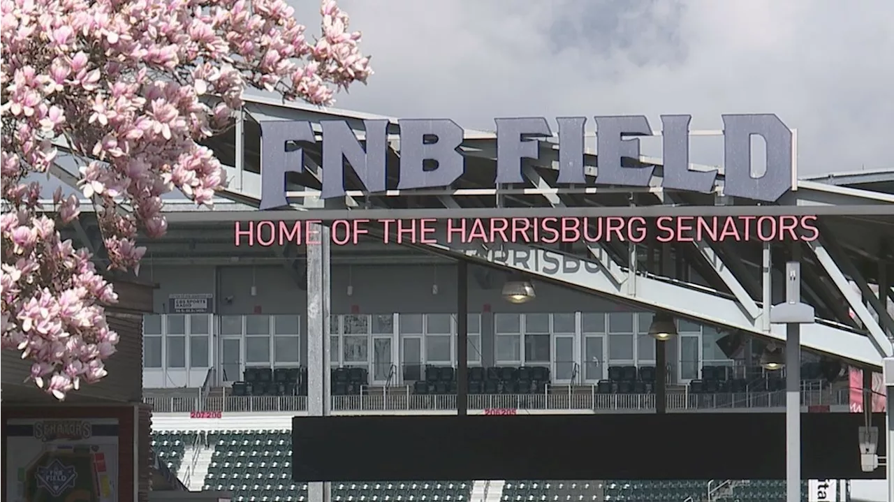 Harrisburg Senators sold to Diamond Baseball Holdings