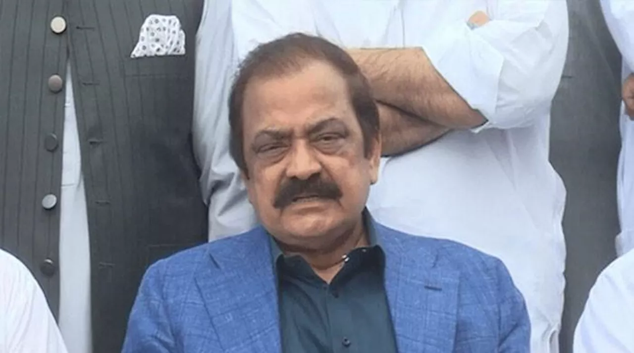 نقوی، واوڈا اور کاکڑ ایک ہی قبیلے سے ہیں، وزیرخزانہ کو انکا کزن کہا جا سکتا ہے: رانا ثنا