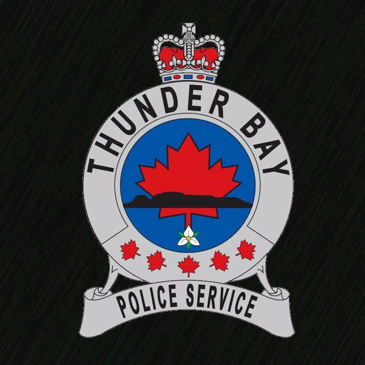 Former Thunder Bay Police Service Lawyer Charged in Criminal Investigation